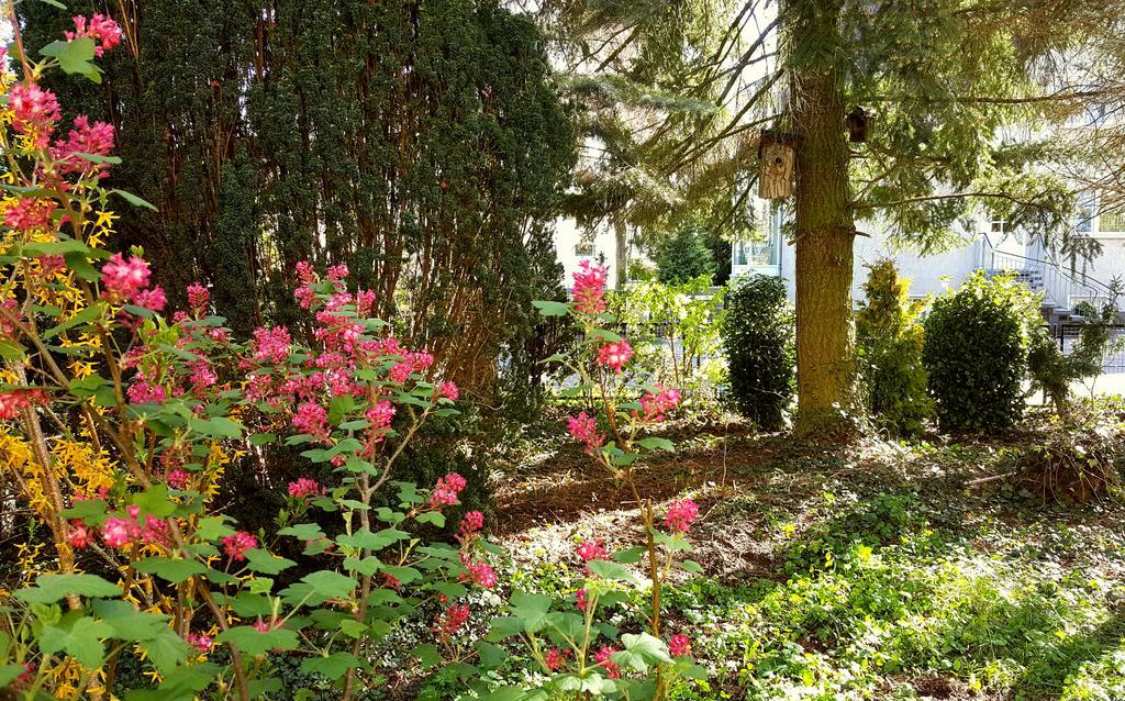 Ferienhaus Sanssouci Stahnsdorf Eksteriør bilde