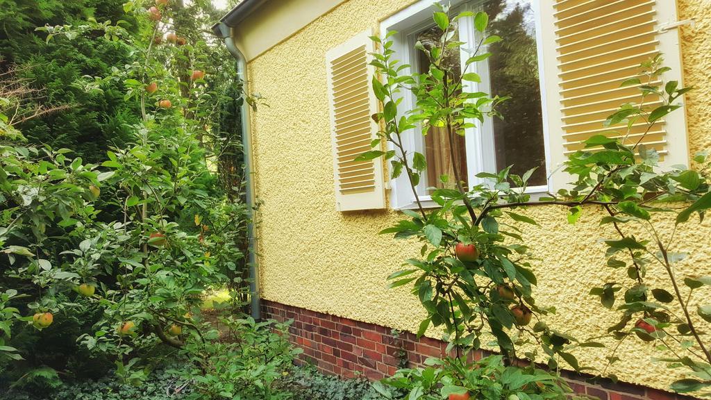 Ferienhaus Sanssouci Stahnsdorf Eksteriør bilde